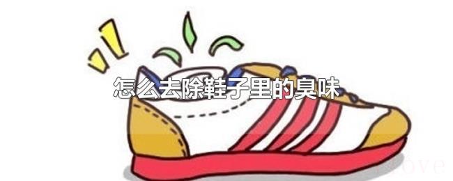 怎么去除鞋子里的臭味 怎么去除鞋子里的臭味
