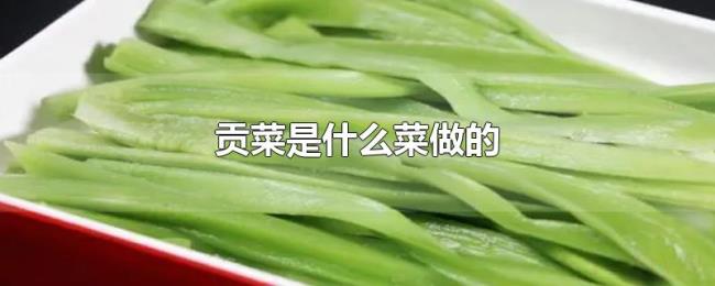 贡菜是什么菜做的 贡菜是什么菜做的