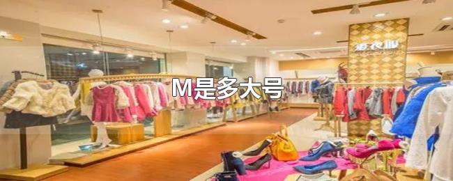 M是多大号 M是多大号