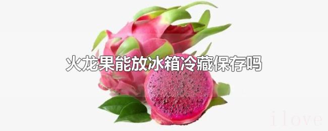 火龙果能放冰箱冷藏保存吗 火龙果能放冰箱冷藏保存吗