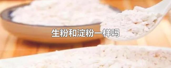 生粉和淀粉一样吗 生粉和淀粉一样吗