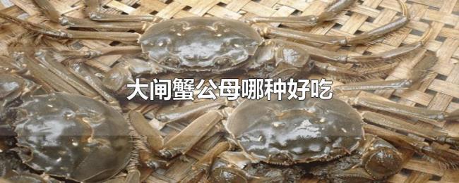 大闸蟹公母哪种好吃 大闸蟹公母哪种好吃