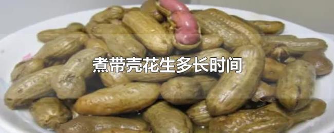煮带壳花生多长时间 煮带壳花生多长时间