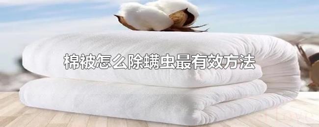棉被怎么除螨虫最有效方法