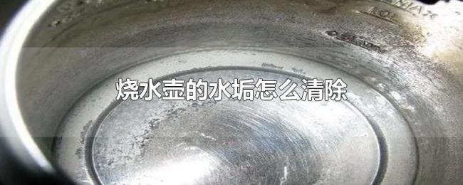 烧水壶的水垢怎么清除 烧水壶的水垢怎么清除