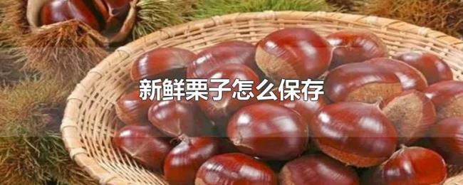 新鲜栗子怎么保存
