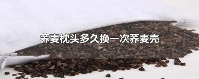 荞麦枕头多久换一次荞麦壳 荞麦枕头多久换一次荞麦壳