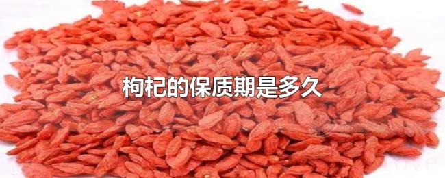 枸杞的保质期是多久