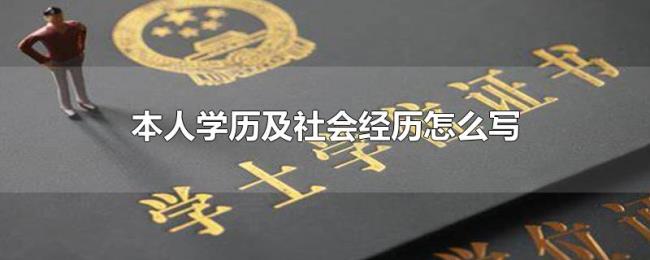 本人学历及社会经历怎么写