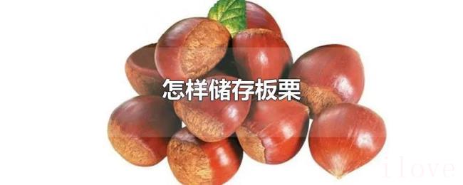 怎样储存板栗