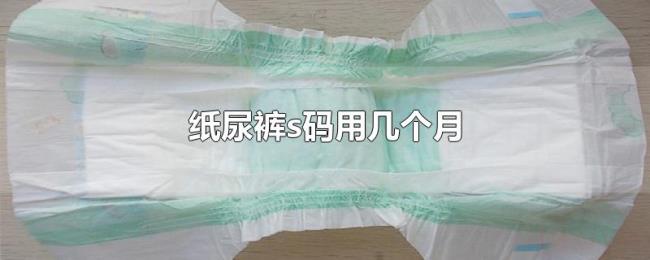纸尿裤s码用几个月