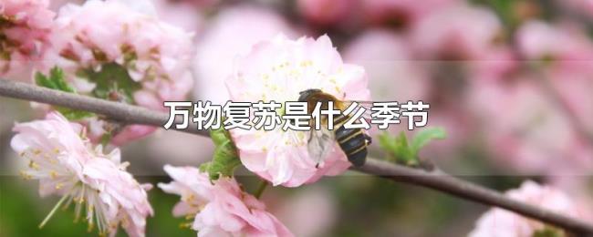 万物复苏是什么季节 万物复苏是什么季节