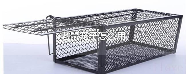 老鼠笼子怎么用 老鼠笼子怎么用