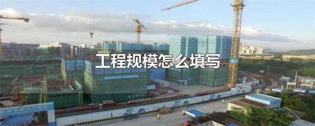 工程规模怎么填写 工程规模怎么填写
