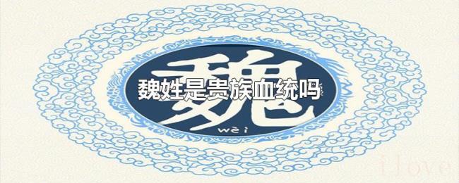 魏姓是贵族血统吗