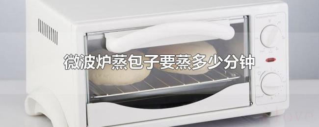 微波炉蒸包子要蒸多少分钟 微波炉蒸包子要蒸多少分钟
