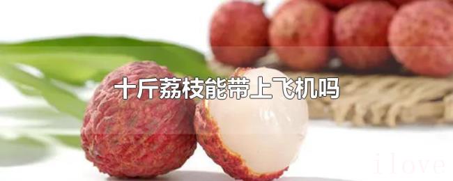 十斤荔枝能带上飞机吗