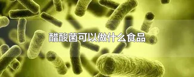 醋酸菌可以做什么食品 醋酸菌可以做什么食品
