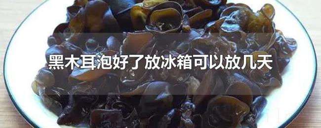 黑木耳泡好了放冰箱可以放几天