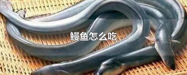 鳗鱼怎么吃 鳗鱼怎么吃