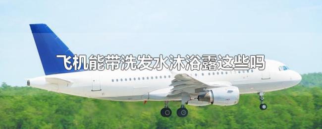 飞机能带洗发水沐浴露这些吗 飞机能带洗发水沐浴露这些吗