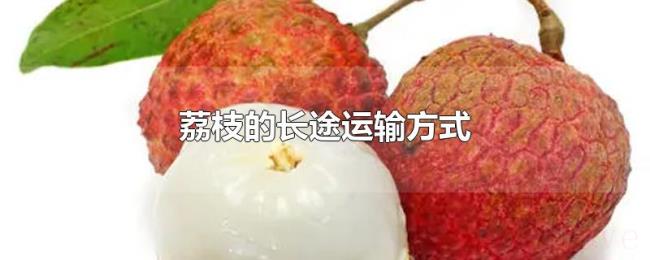 荔枝的长途运输方式