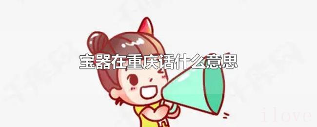 宝器在重庆话什么意思