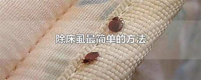 除床虱最简单的方法