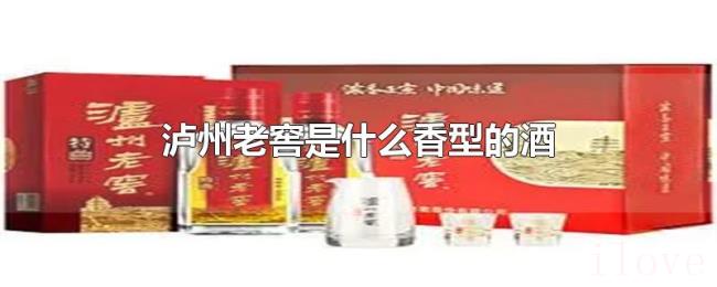 泸州老窖是什么香型的酒