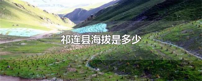 祁连县海拔是多少