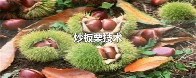 炒板栗技术