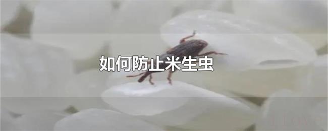如何防止米生虫