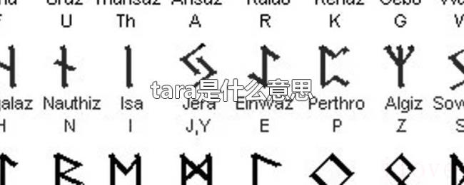 tara是什么意思 tara是什么意思