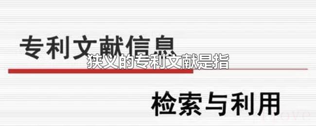 狭义的专利文献是指 狭义的专利文献是指