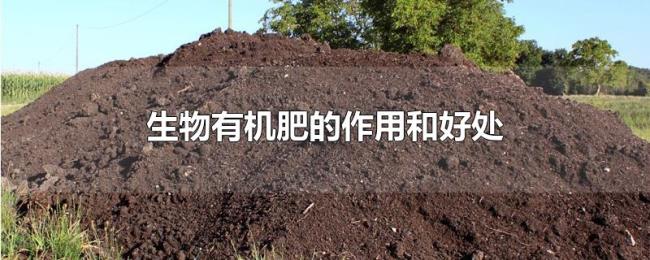 生物有机肥的作用和好处