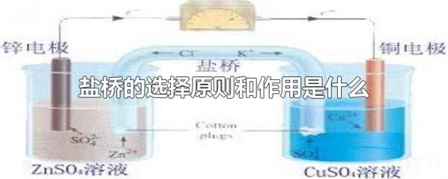 盐桥的选择原则和作用是什么