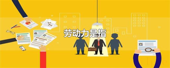 劳动力是指