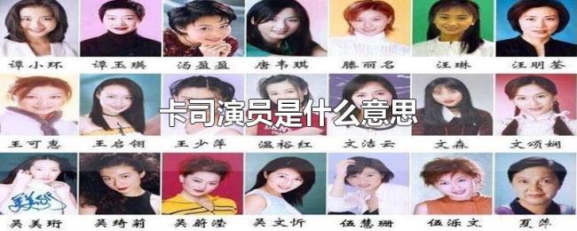 卡司演员是什么意思 卡司演员是什么意思