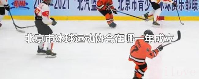 北京市冰球运动协会在哪一年成立