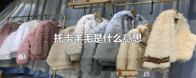 托卡羊毛是什么意思 托卡羊毛是什么意思
