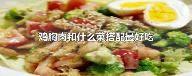 鸡胸肉和什么菜搭配最好吃
