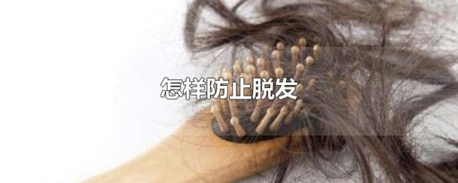 怎样防止脱发