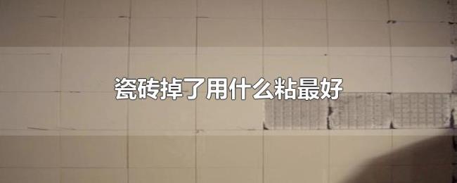 瓷砖掉了用什么粘最好 瓷砖掉了用什么粘最好