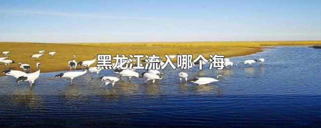 黑龙江流入哪个海