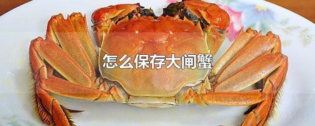 怎么保存大闸蟹 怎么保存大闸蟹