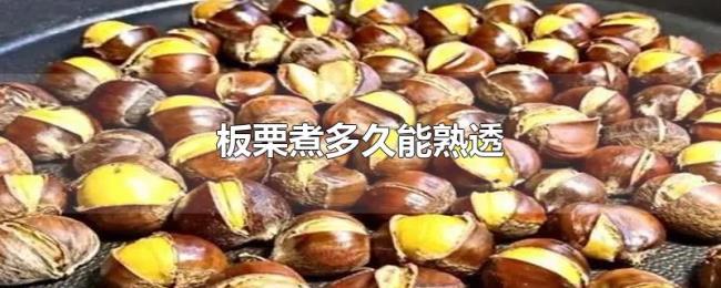 板栗煮多久能熟透