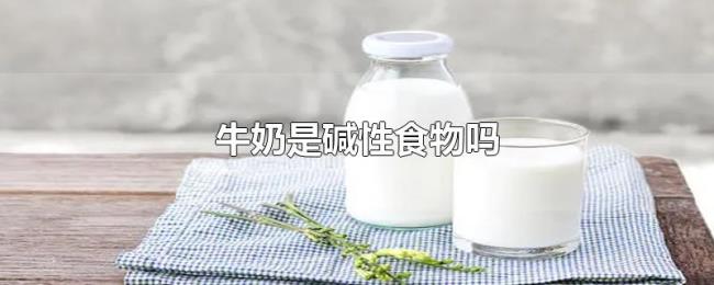 牛奶是碱性食物吗