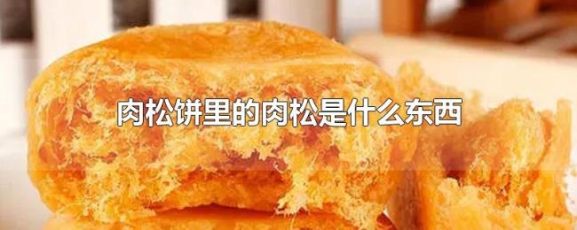 肉松饼里的肉松是什么东西