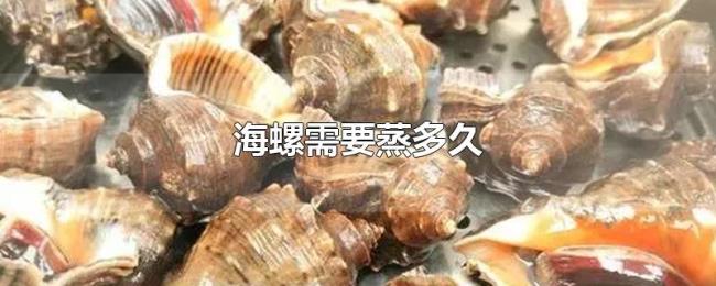 海螺需要蒸多久