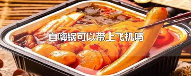 自嗨锅可以带上飞机吗